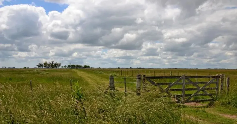 Entró a un campo a robar lechones y el dueño lo mató de un disparo
