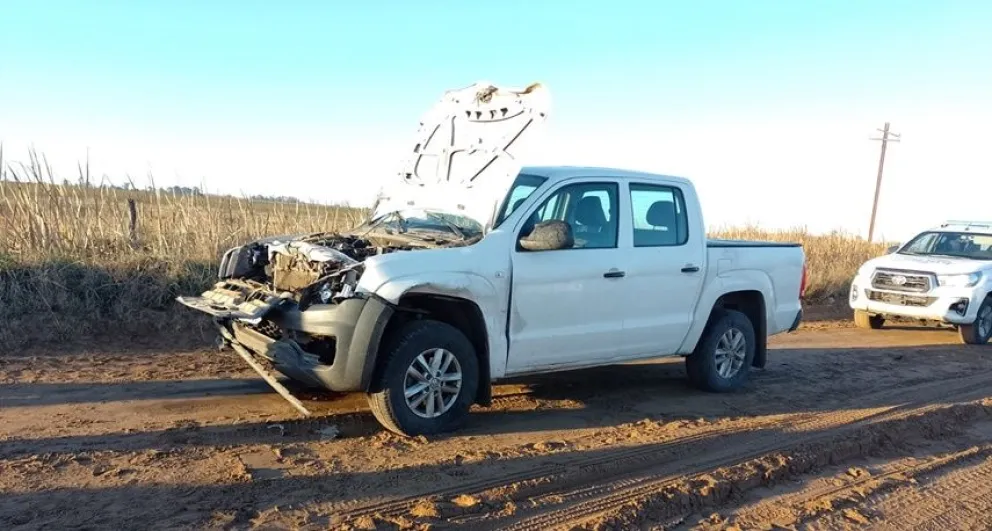 Fuerte choque en Hale: una camioneta se topó con un vacuno en camino de tierra