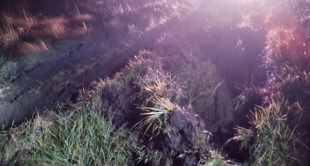 Un camión despistó en el cruce de las rutas 205 y 65