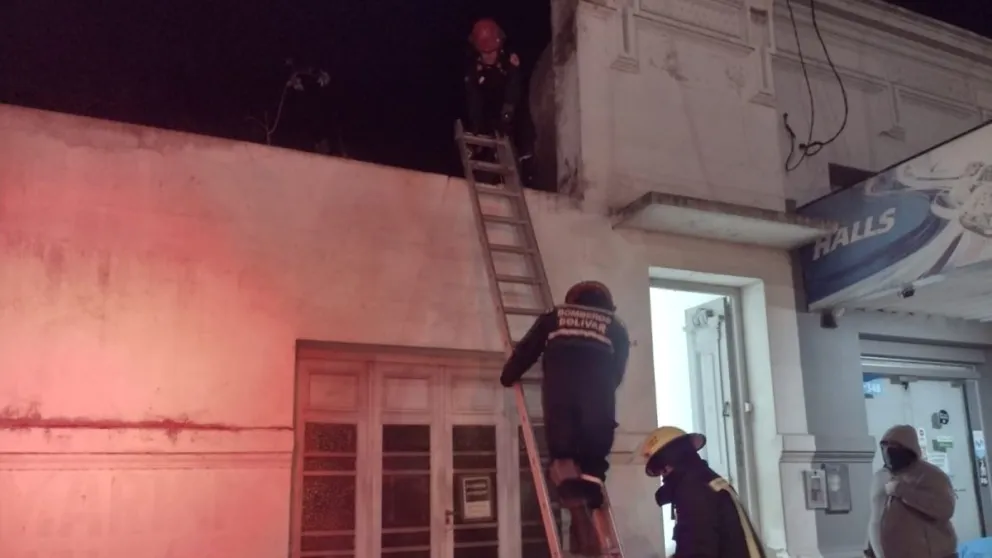 Bomberos Voluntarios prestaron servicio en el rescate de un felino