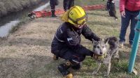 Rescataron a una perra del zanjón ubicado a la vera de las vías del tren