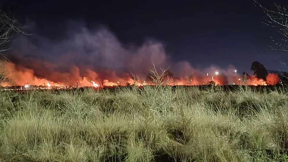 Se registró un incendio forestal con varios focos en barrio Santa Marta