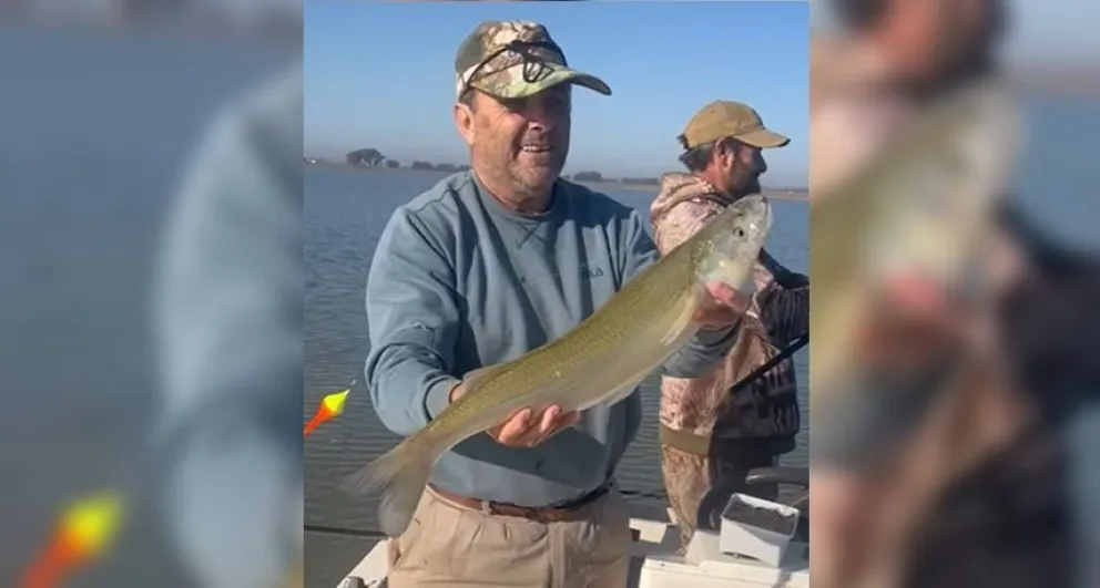 Sacó un pejerrey de más de 2 kilos de la laguna Cochicó y se hizo viral