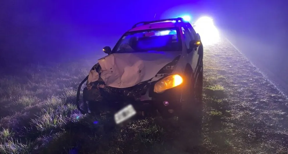 Un vehículo colisionó contra un vacuno en la ruta 226