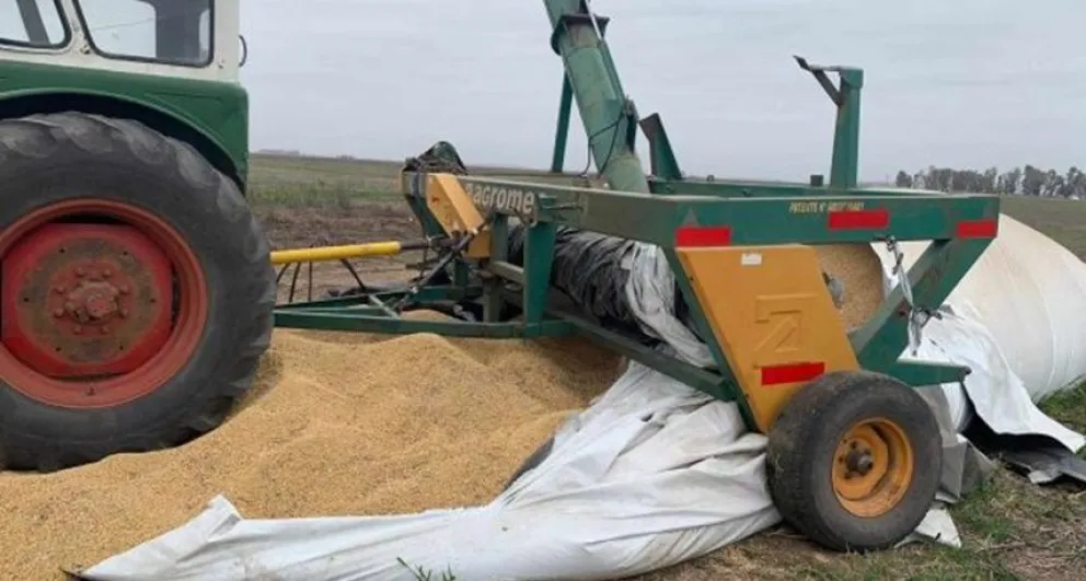 Robaron $2 millones en cereales a un productor de la zona: "Nunca se sabe nada"
