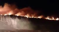Video: cayó un cable de alta tensión de la línea 33 y produjo un incendio forestal 