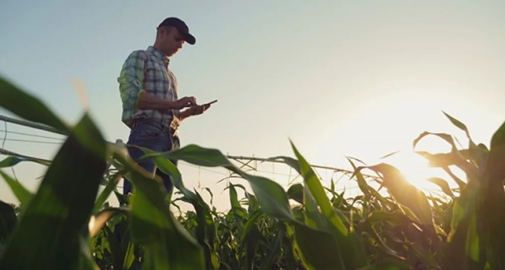 Productores agropecuarios manifiestan que su situación financiera actual se ha deteriorado