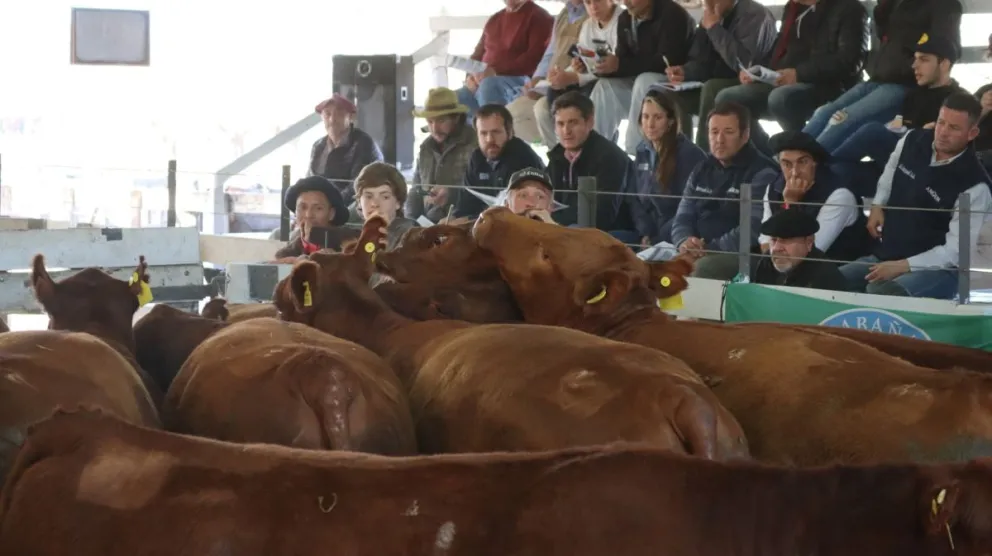 Enojo de la Rural con el municipio por una sorpresiva medida: "Que se deje sin efecto"