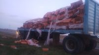 Ruta 226: a pocos kilómetros de Bolívar, un camión perdió parte de su carga