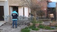 Insólito allanamiento en la zona: una mujer tenía trece changos de supermercado en su casa