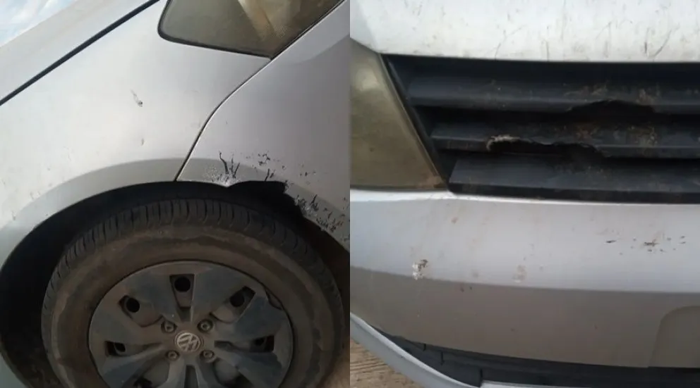 Una vecina de Bolívar denunció que tres perros de la calle provocaron daños en su vehículo