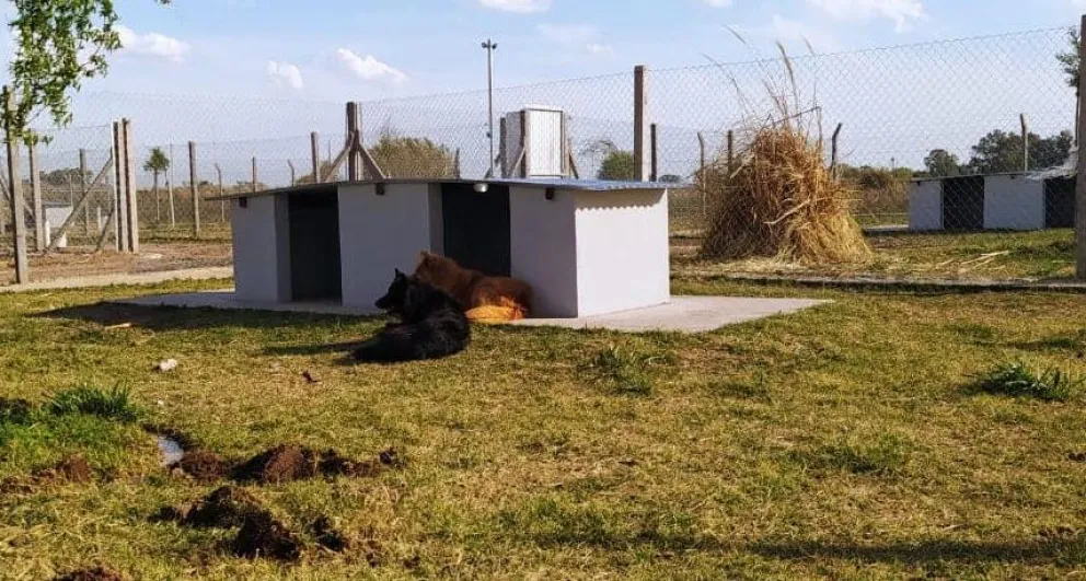 Culminó la obra de ampliación del refugio de SAPAAB: "Estamos felices"