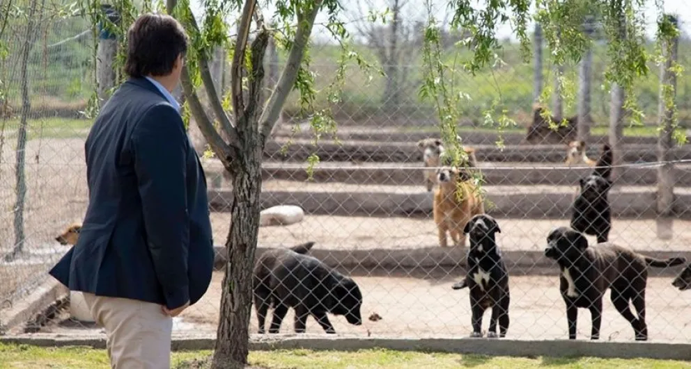 Cómo funciona el refugio canino municipal de Daireaux y qué reformas se hicieron 