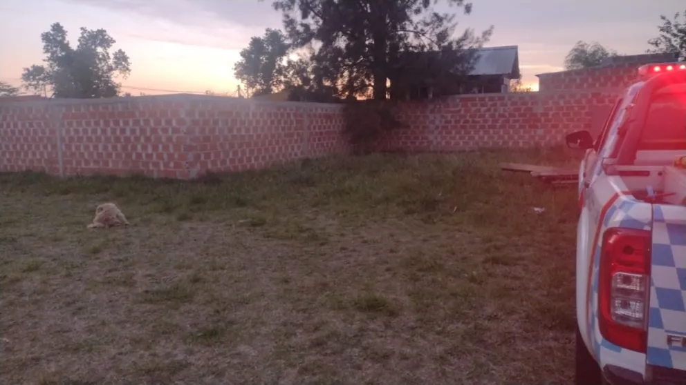 Una menor de 12 años chocó un paredón a bordo de una moto: fue hospitalizada