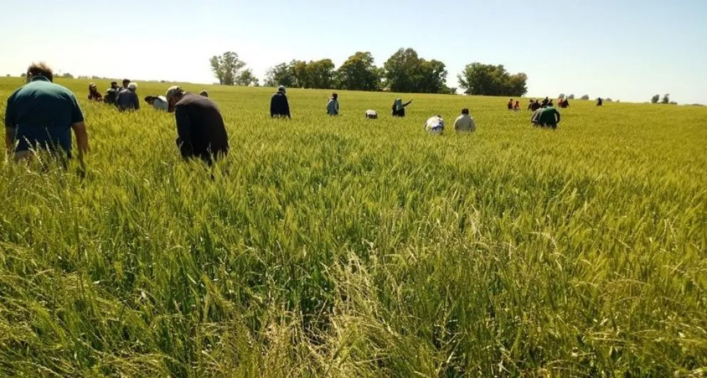 Anunciaron la jornada Un Productor en Acción: conocé el cronograma de actividades