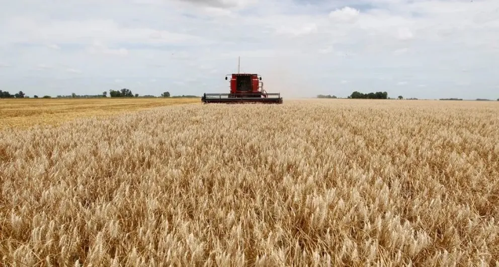 Aseguran que “empieza la recuperación” de los efectos de la sequía en la provincia