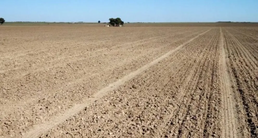 Emergencia agropecuaria: se extiende la declaración en 39 distritos bonaerenses, entre ellos Bolívar 