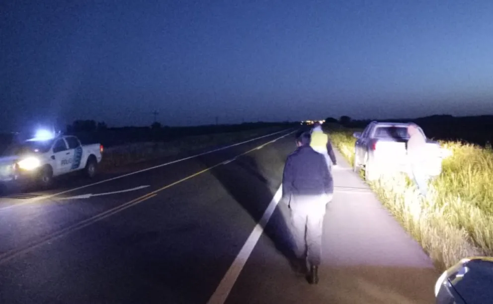Una camioneta colisionó contra dos equinos en Ruta 65 durante la madrugada 