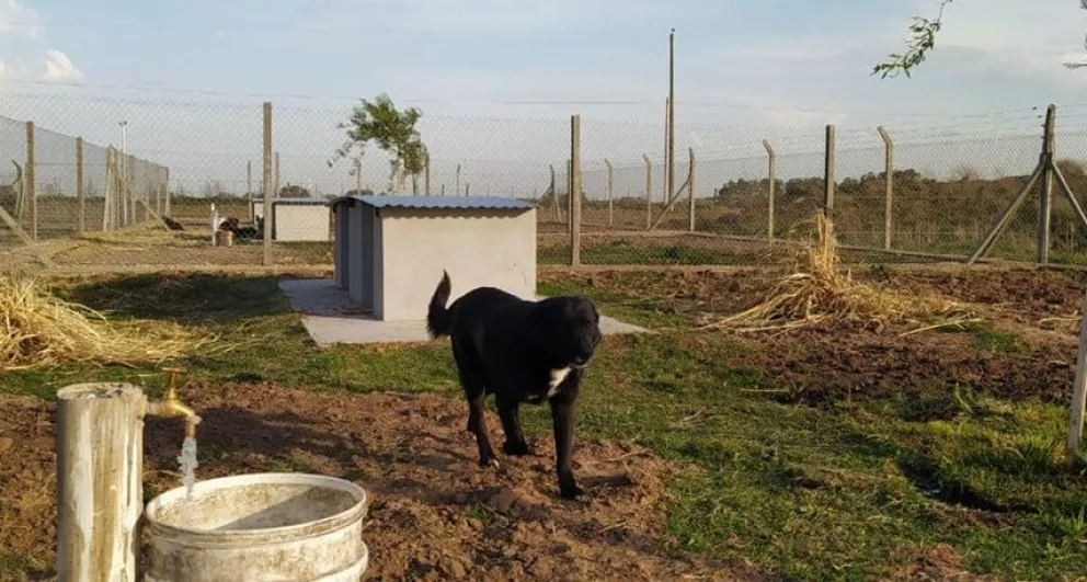 Anunciaron una nueva jornada solidaria en el refugio de SAPAAB: cuándo es y cómo participar