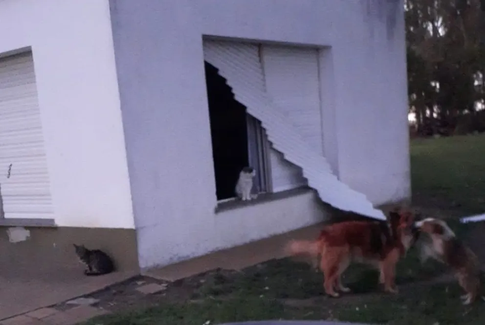Una familia sufrió un robo en zona rural: encontraron la casa abierta y todo revuelto