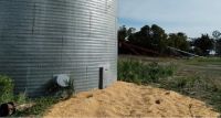 Millonario robo de maíz en la zona: se llevaron más de 40 mil kilos de un silo