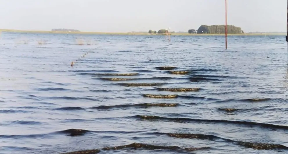 Una laguna de la zona fue declarada en alerta roja por la presencia de una bacteria