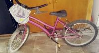 Un robo deja a dos niños de la Escuela 6 sin bicicletas para concurrir a clases