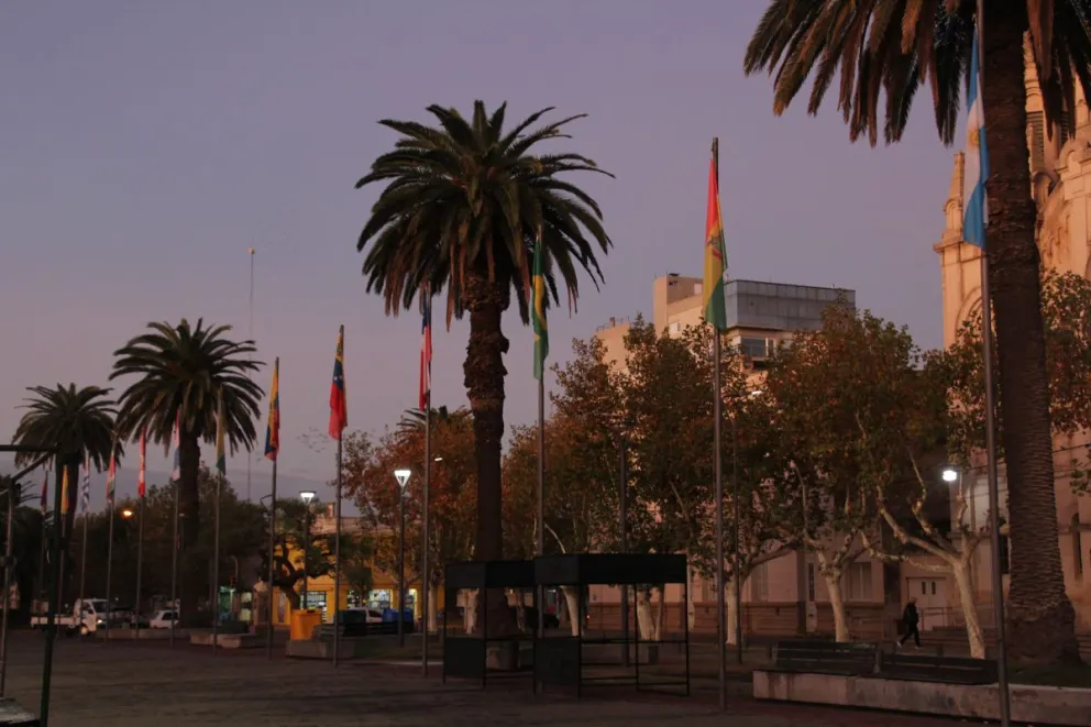 Denuncian que una niña fue atacada por un perro callejero: "Se le subió arriba y le mordió la cara"