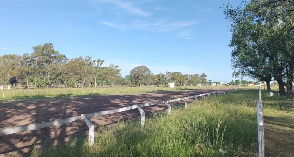 Confirmaron la vuelta de las carreras de caballos al Club Hípico de Bolívar