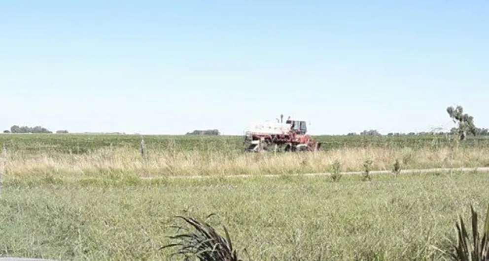 Por una causa judicial, disponen zonas prohibidas para fumigar con agroquímicos en una ciudad de la zona