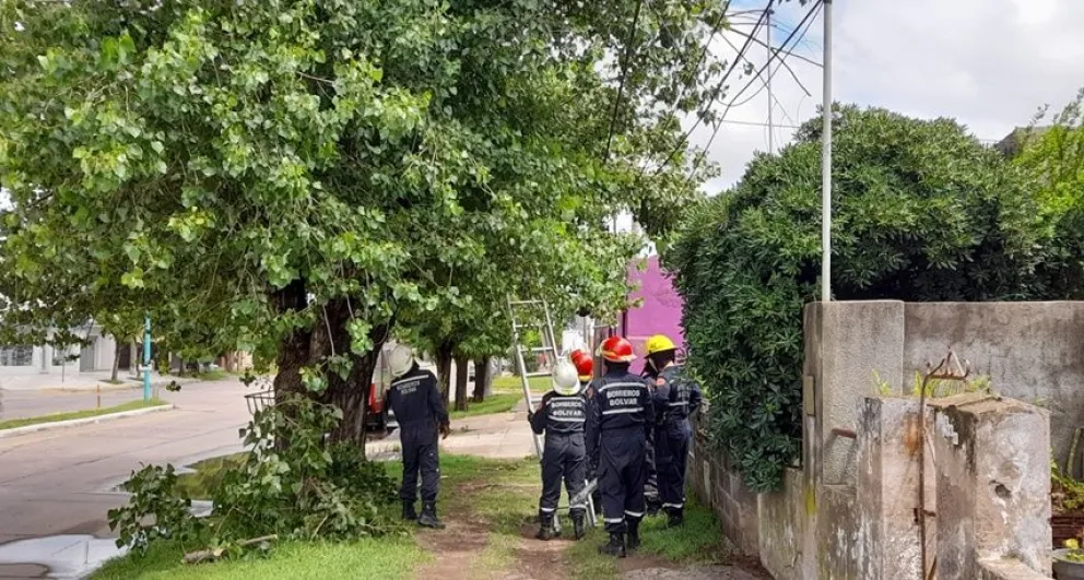 El día después de la tormenta: Bomberos Voluntarios continúan trabajando en las calles de Bolívar