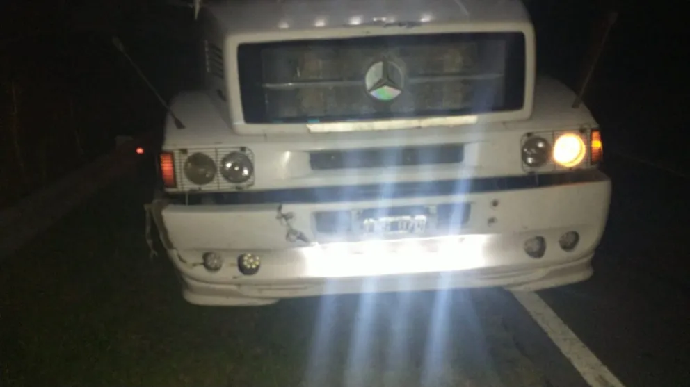 Un camión embistió a un ternero en Ruta 226 y alertó a los servicios de emergencias