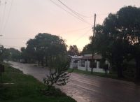 Temporal en Pirovano: voladuras de techos, caída de árboles, 14 horas sin luz y sin agua