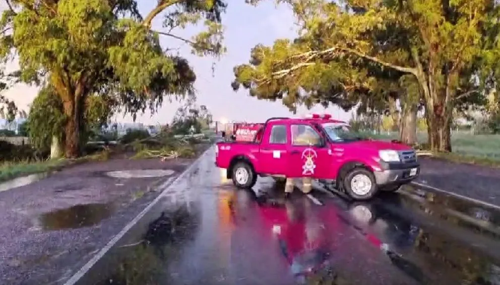 Daireaux sufrió las consecuencias del temporal: voladura de techos, caída de arboles y otros destrozos