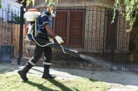 Se confirmaron cinco casos de dengue en un distrito limítrofe a Bolívar