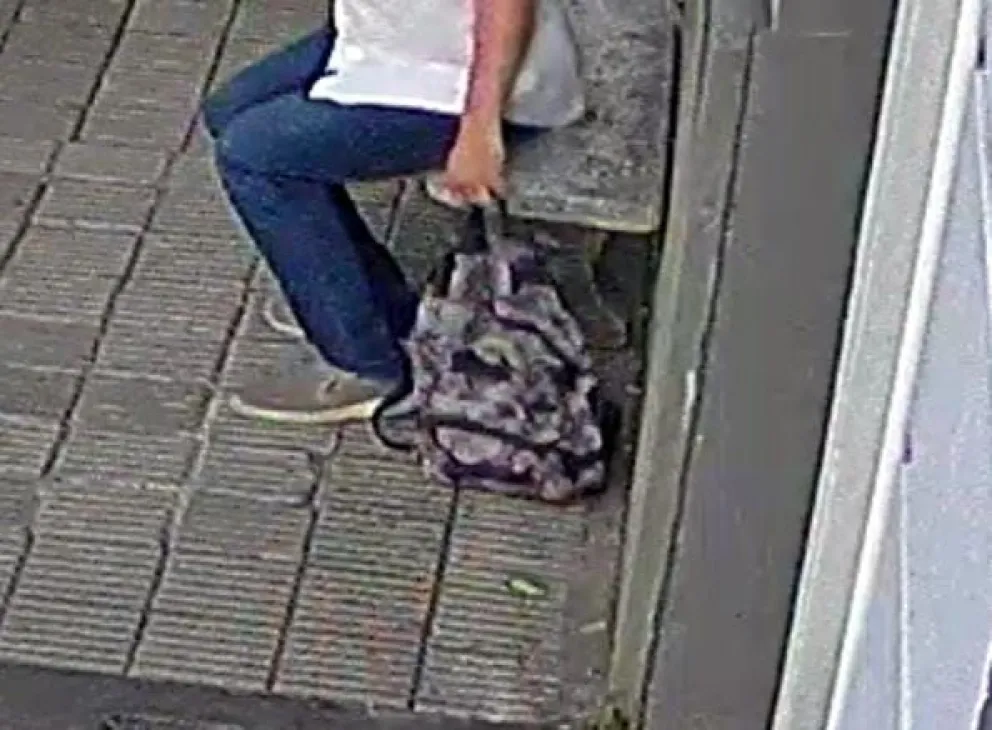Remisero denunció que se llevaron objetos personales del interior del auto que utiliza para trabajar