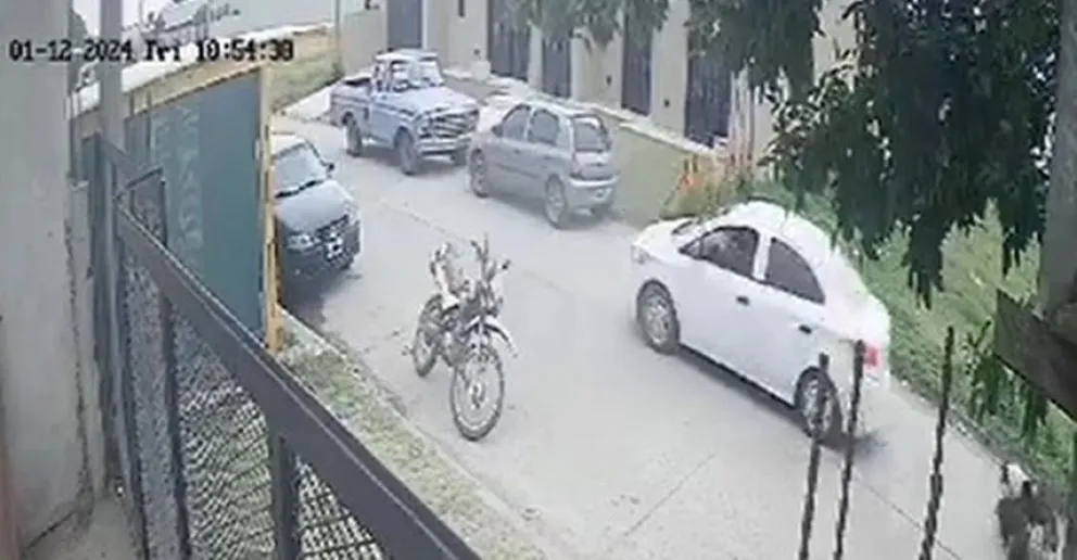 Sapaab expuso un caso de violencia animal y solicita colaboración por la salud de Pocho