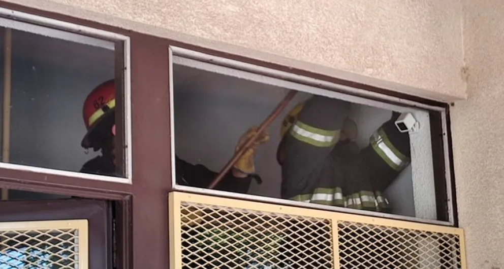 Bomberos Voluntarios rescataron a un murciélago del interior de un edificio