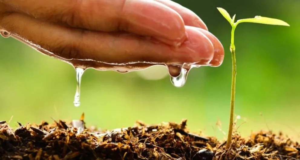 Ambientalistas bolivarenses advierten sobre los peligros de la Ley Ómnibus