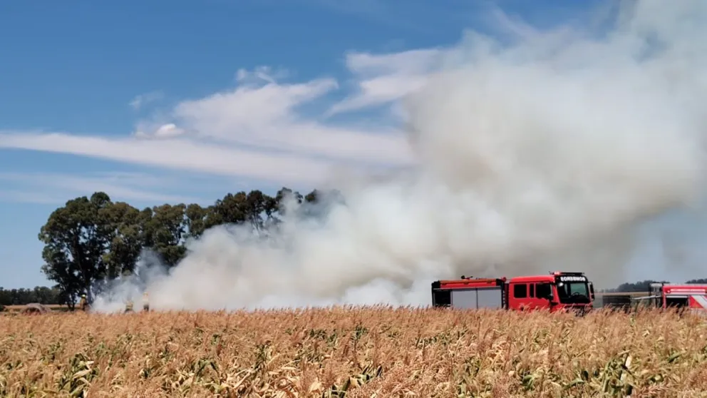 Un incedio de rollos mantuvo en alerta a Bomberos Voluntarios gran parte del domingo