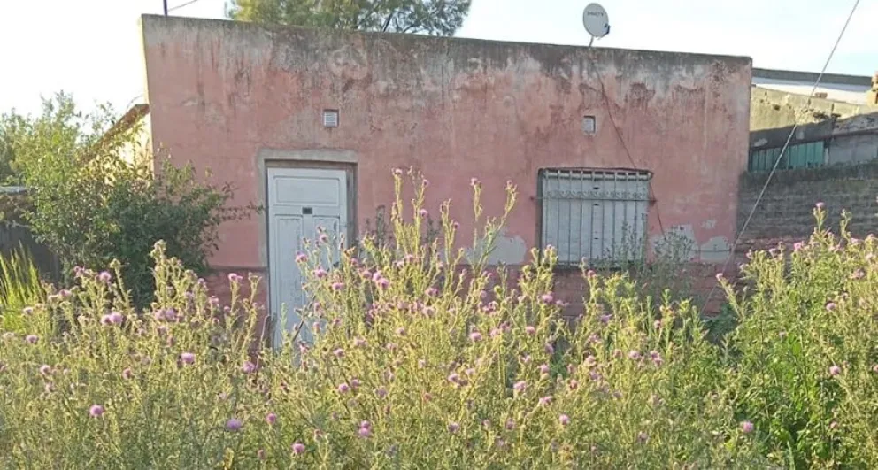 Nueva queja de vecinos por la falta de limpieza en un barrio de la ciudad