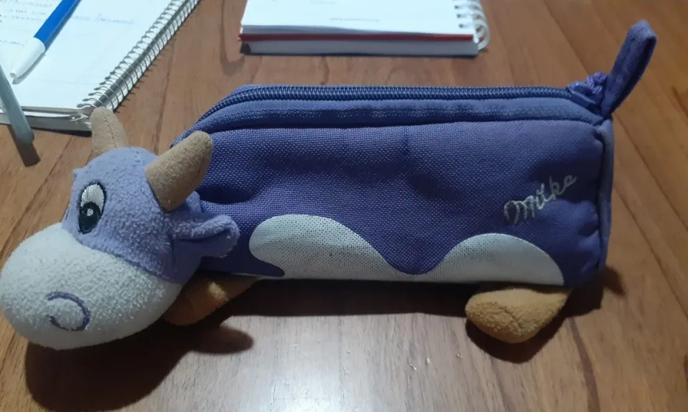 Organizan un “banco de útiles escolares” para hacer donaciones de cara al inicio de clases