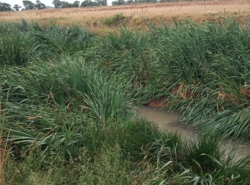 Precisa urgente atención uno de los canales que rodea Barrio Cooperativa