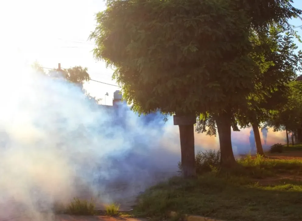 Avalancha de mosquitos: el municipio implementa un cronograma de pulverización