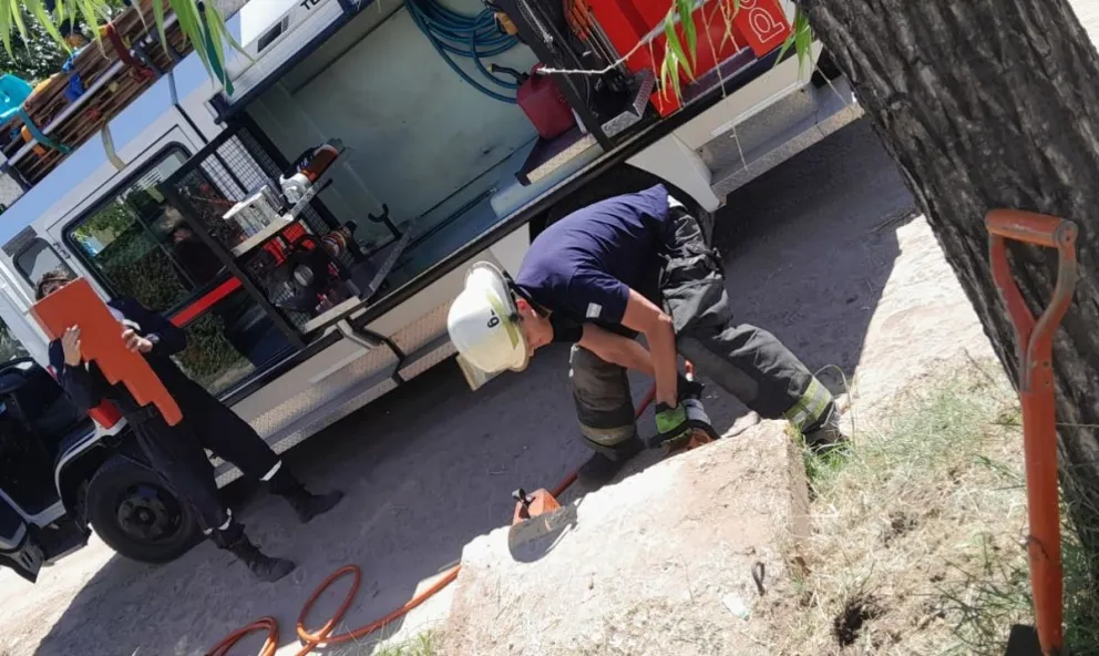 Bomberos rescataron a un perro de una alcantarilla en barrio Latino