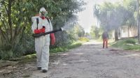 Una ciudad del interior en alerta por un brote de fiebre chikungunya