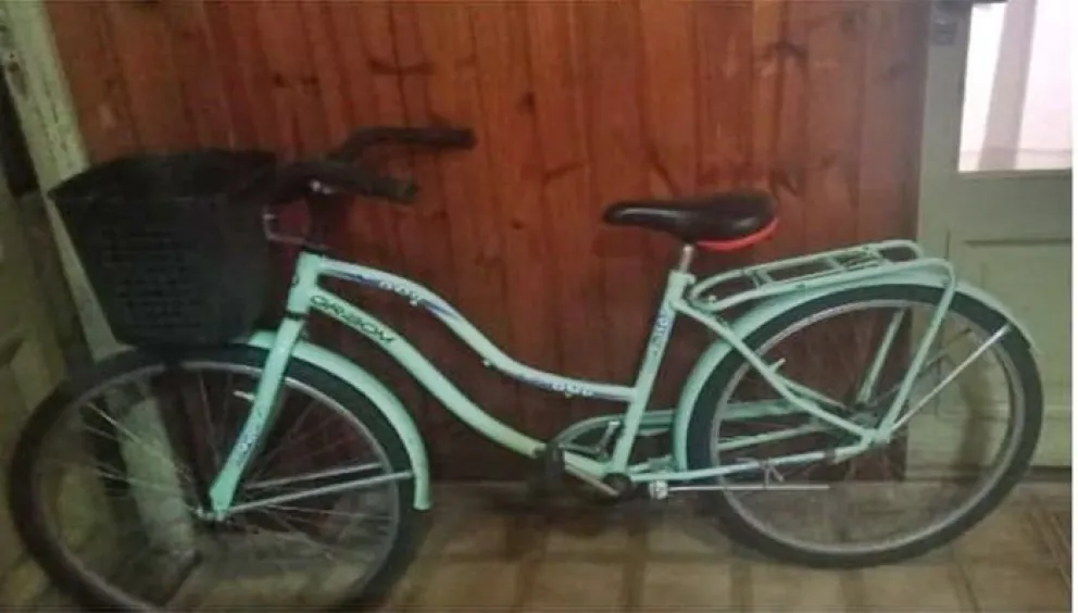 En menos de una hora, la policía recuperó una bicicleta hurtada: la dueña dedicó un posteo