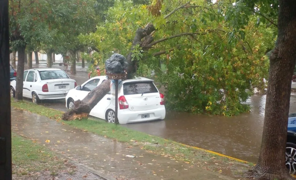 La tormenta pegó fuerte en 25 de Mayo y provocó múltiples consecuencias