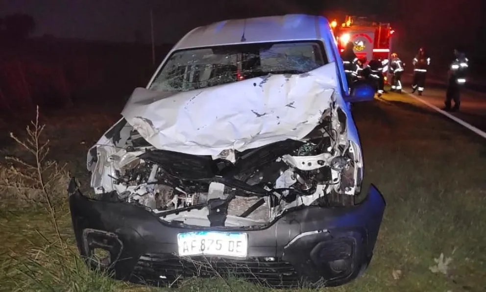 Animales sueltos en Ruta 5: hubo dos accidentes graves en menos de seis horas