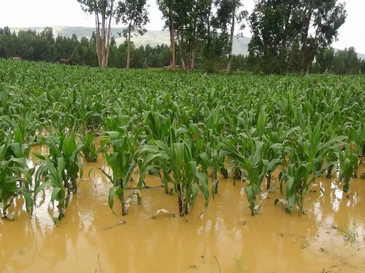 El municipio de Daireaux alerta por inundaciones en los próximos meses